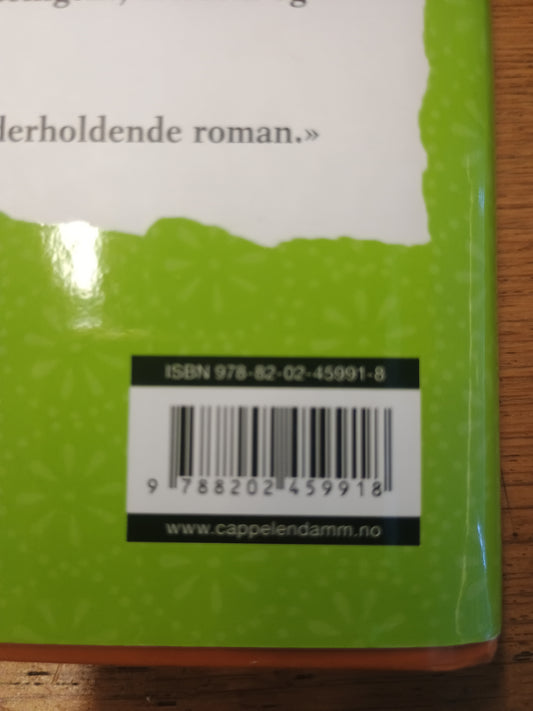 En liste for livet, Lori Nelson Spielman