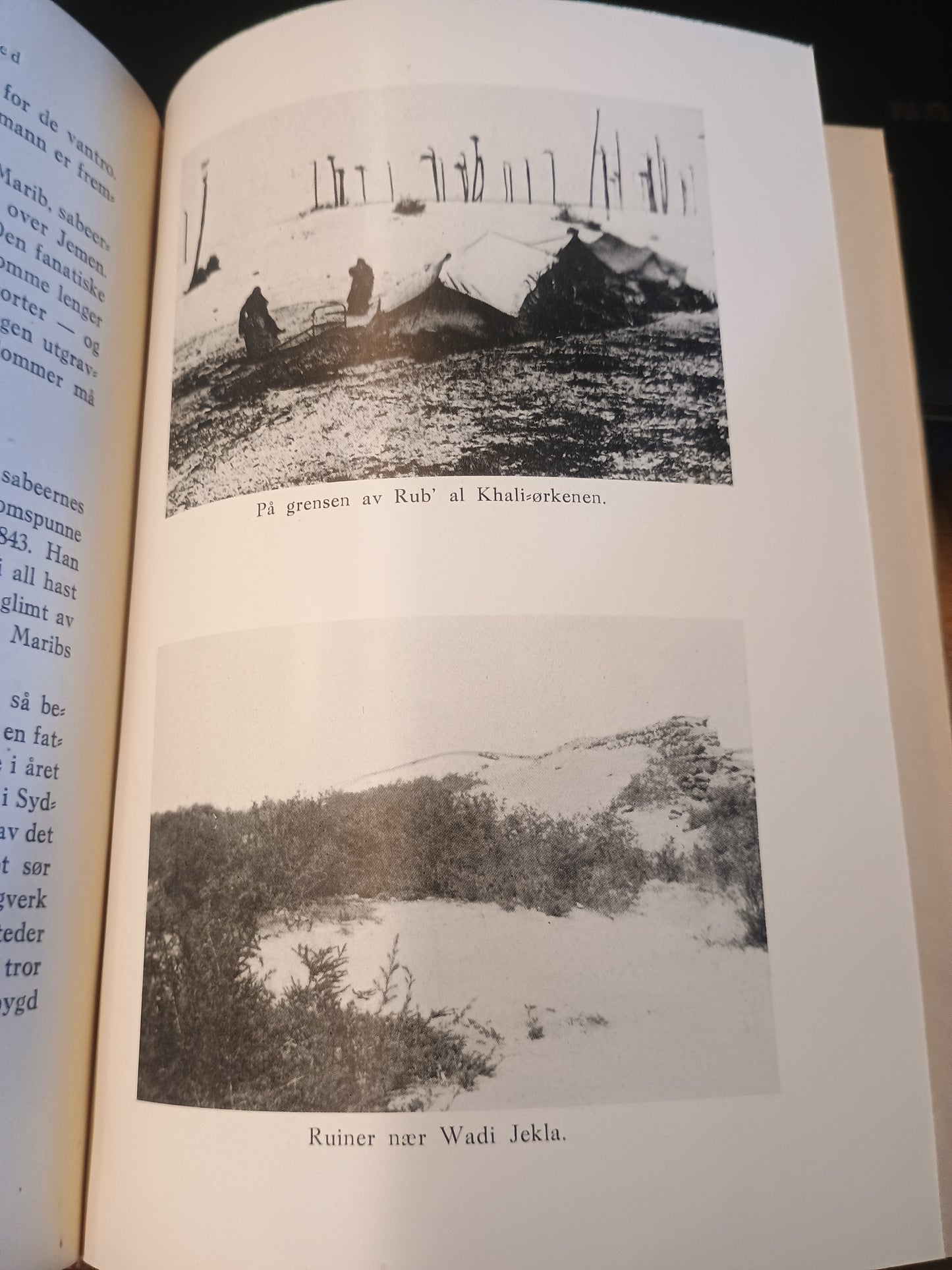 Det hemmelighetsfulle Arabia, Georg Wasmuth Sejersted