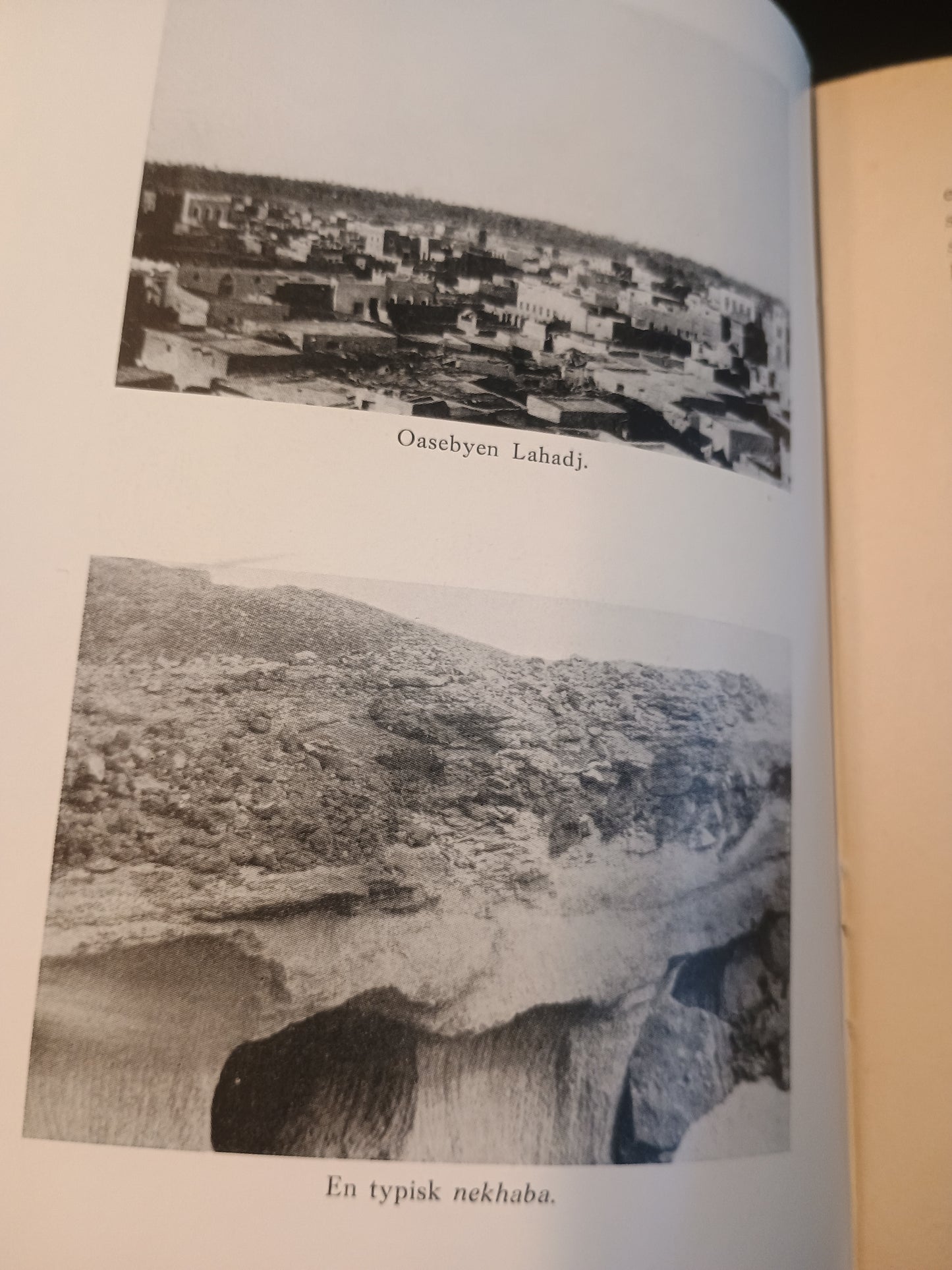 Det hemmelighetsfulle Arabia, Georg Wasmuth Sejersted