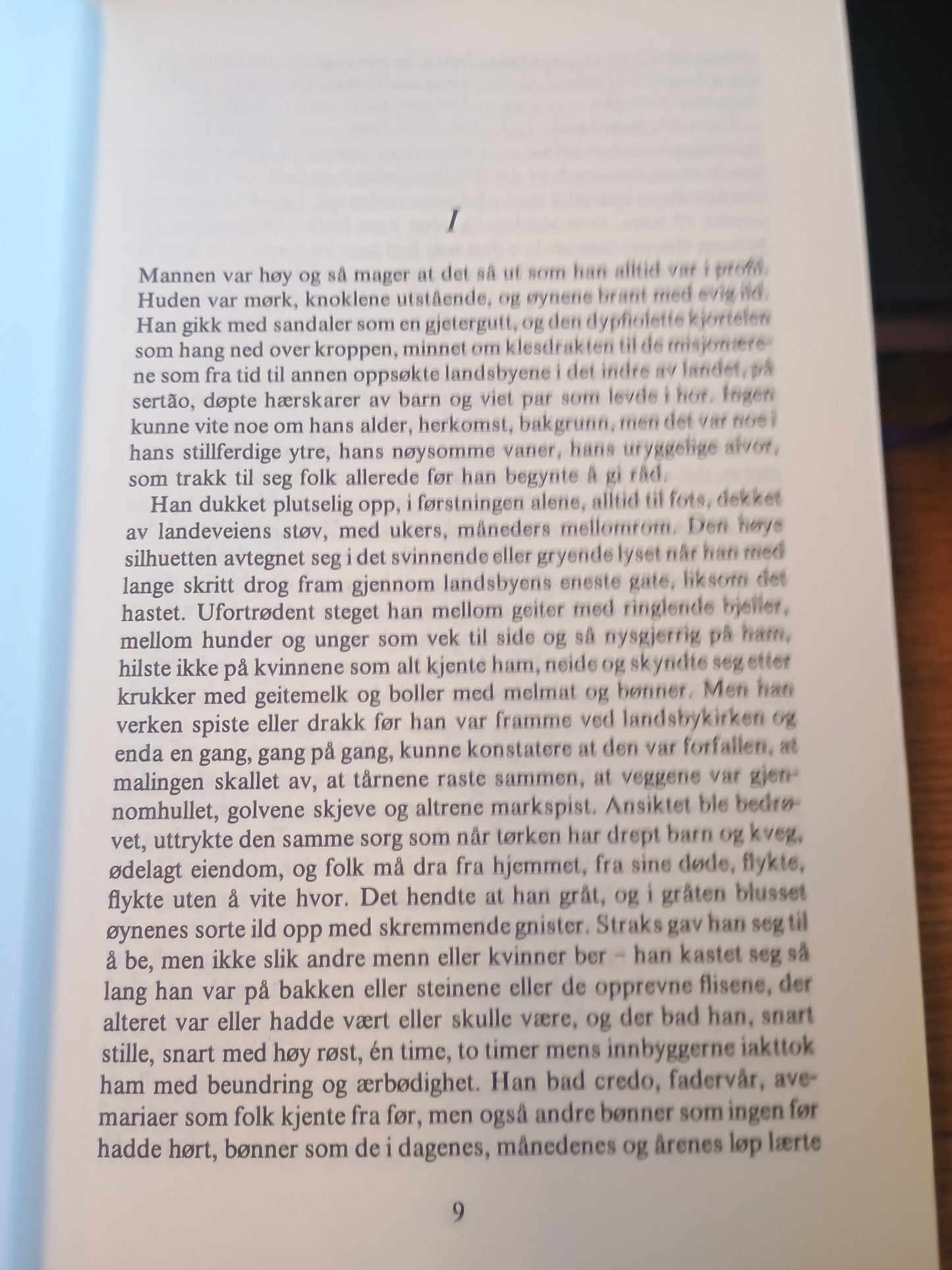 Dommedagskrigen, Mario Vargas Llosa