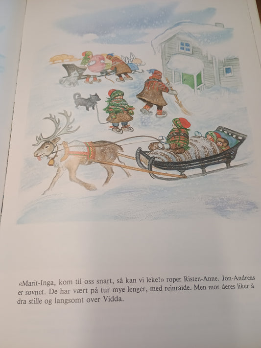 Hjemme på Vidda med reinflokken på flyttefot, Bodil Hagbrink