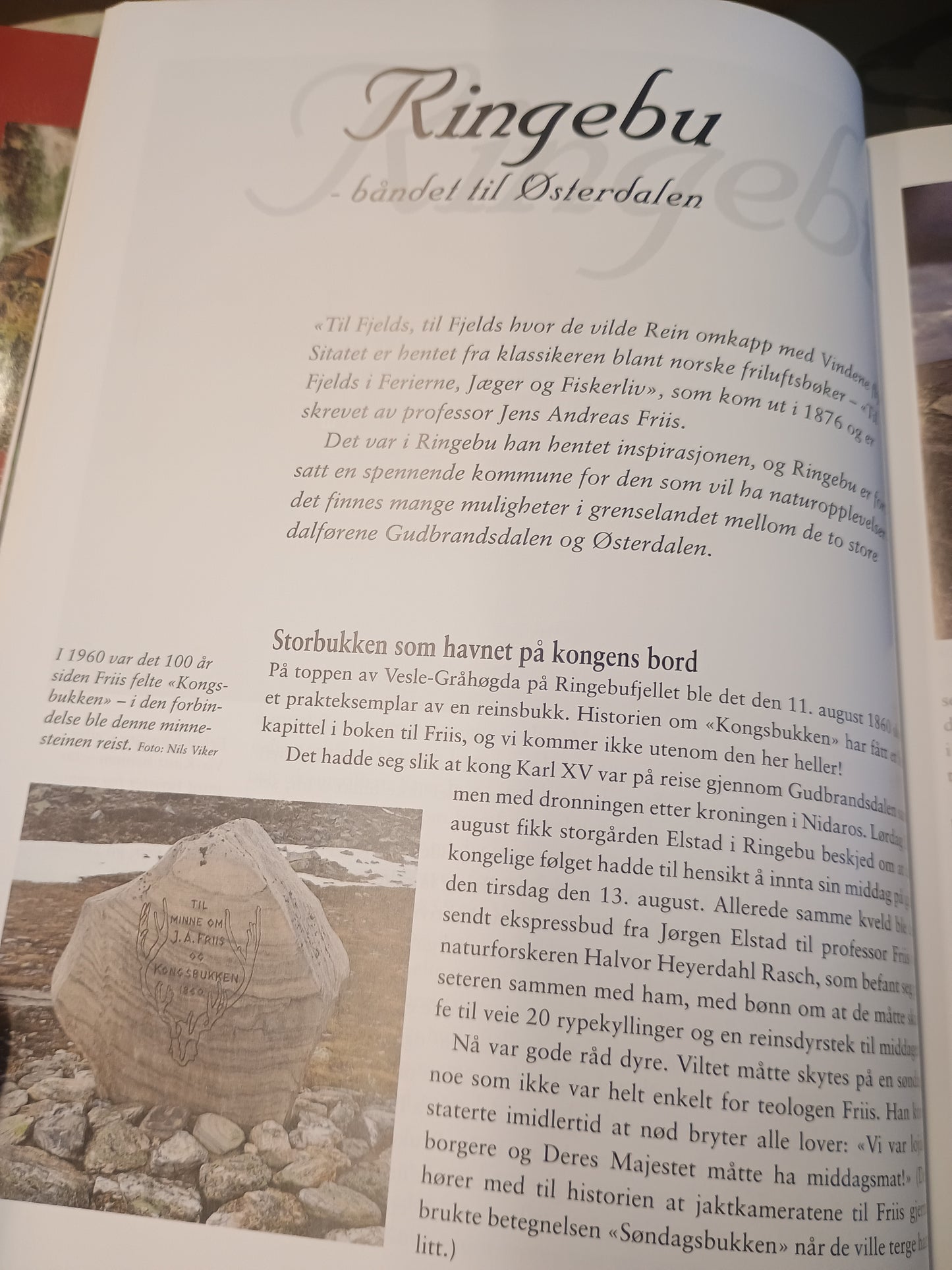Langs sti og veg i Gudbrandsdalen, Gro Stangeland