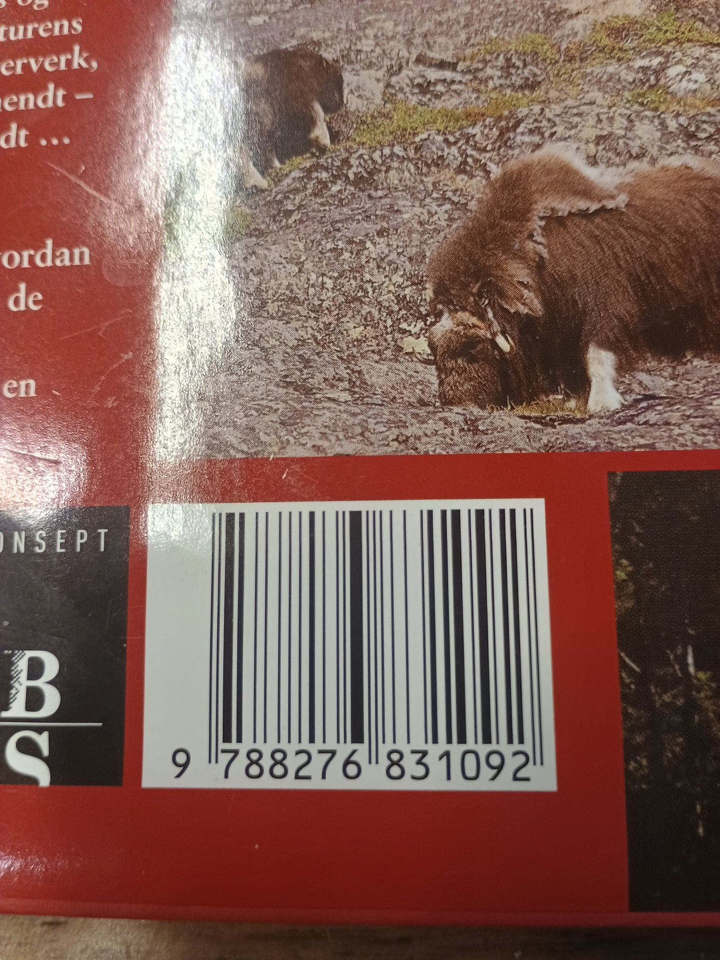 Langs sti og veg i Gudbrandsdalen, Gro Stangeland