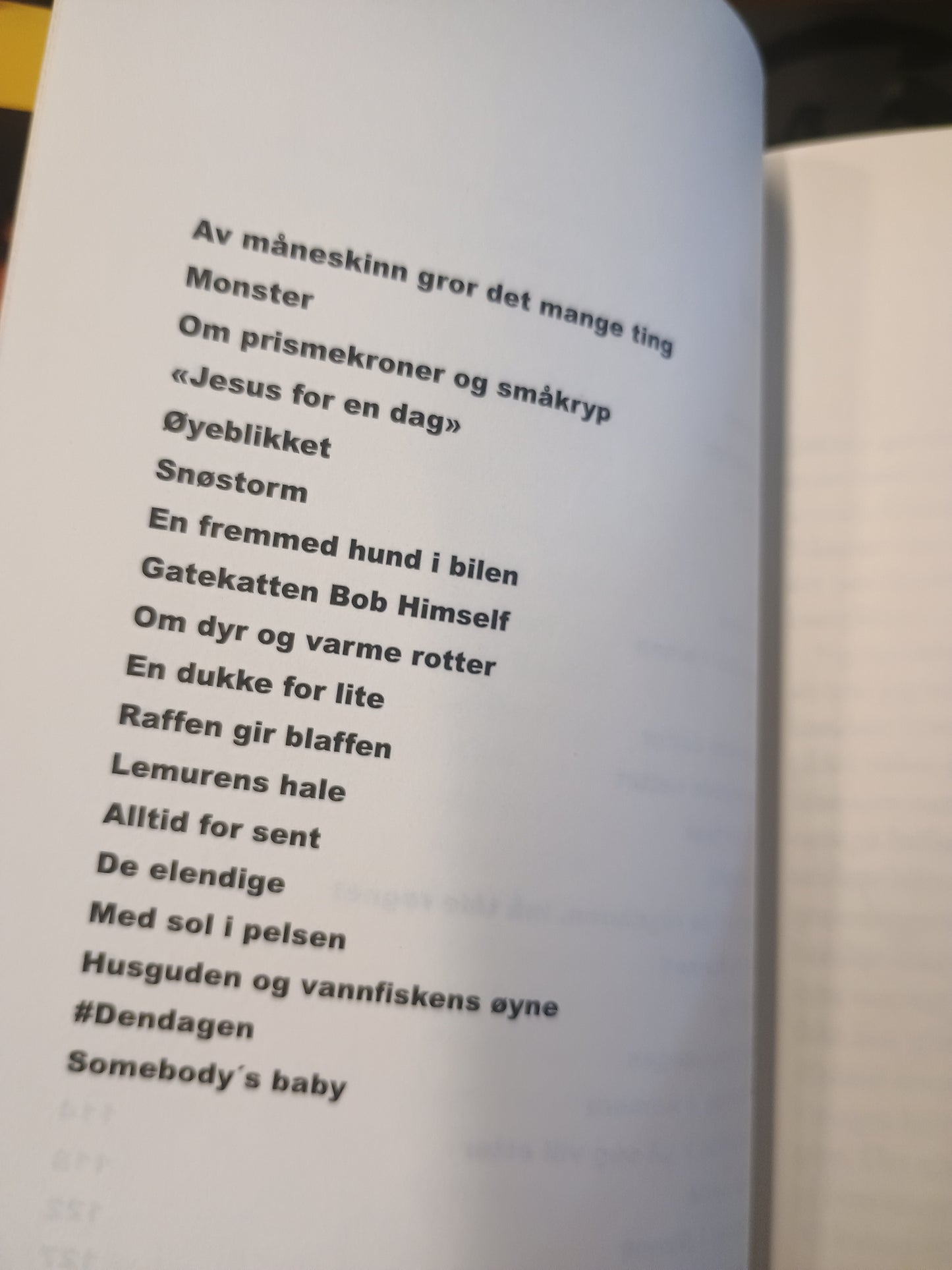 Knut Nobody’s Baby, Unni Lindell