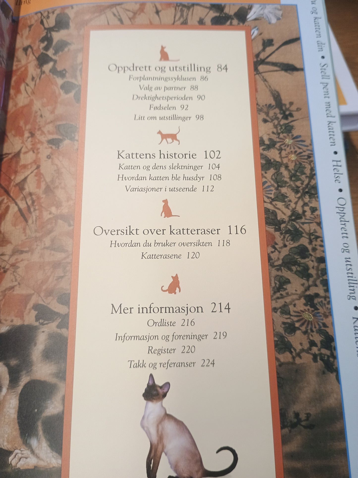 Katteeieren, Susie Page