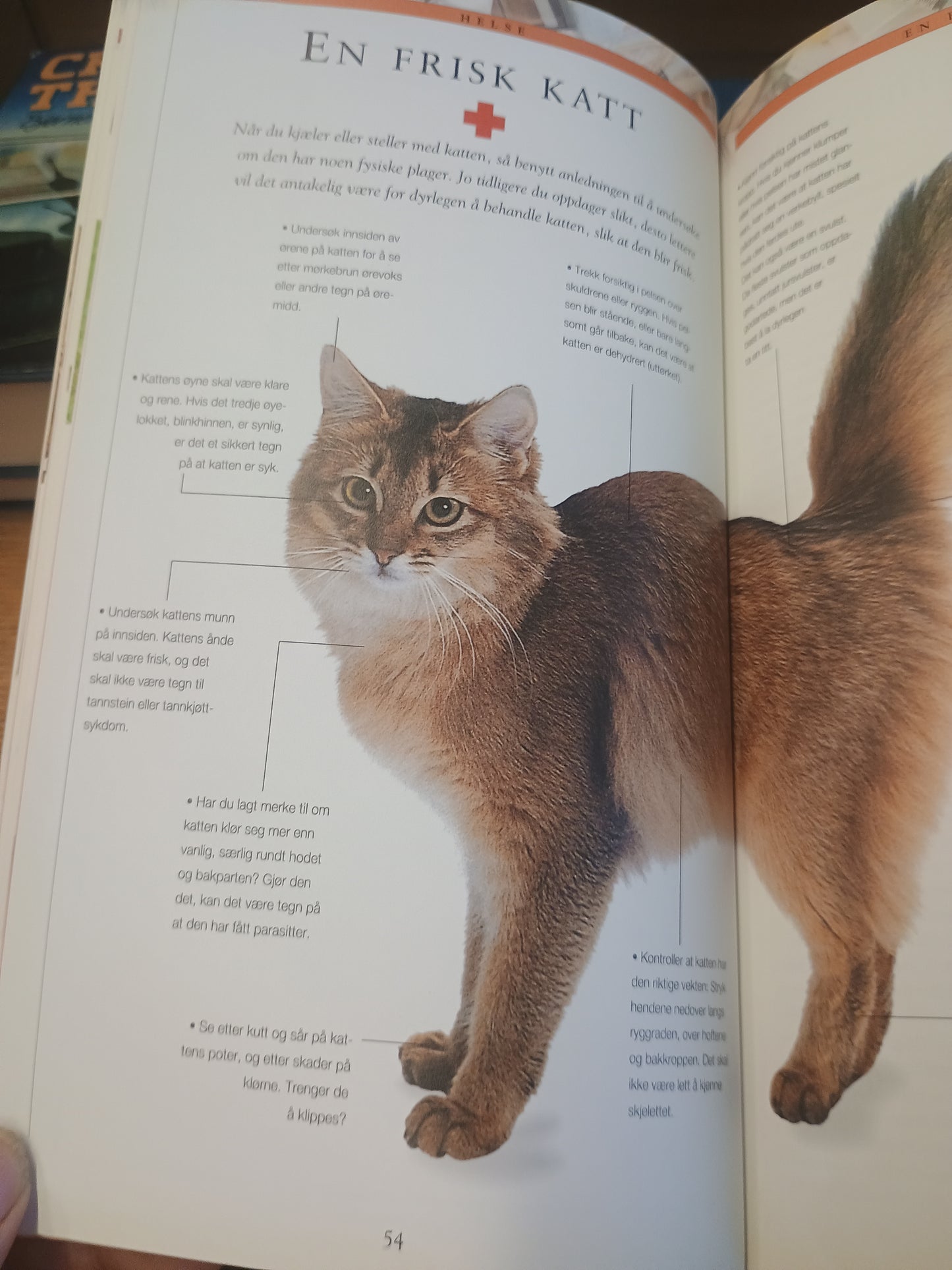 Katteeieren, Susie Page