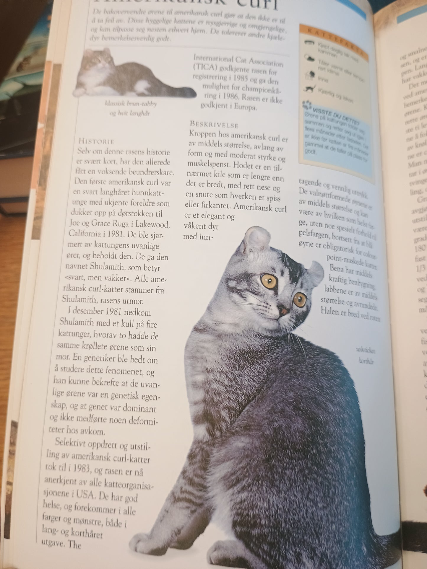 Katteeieren, Susie Page