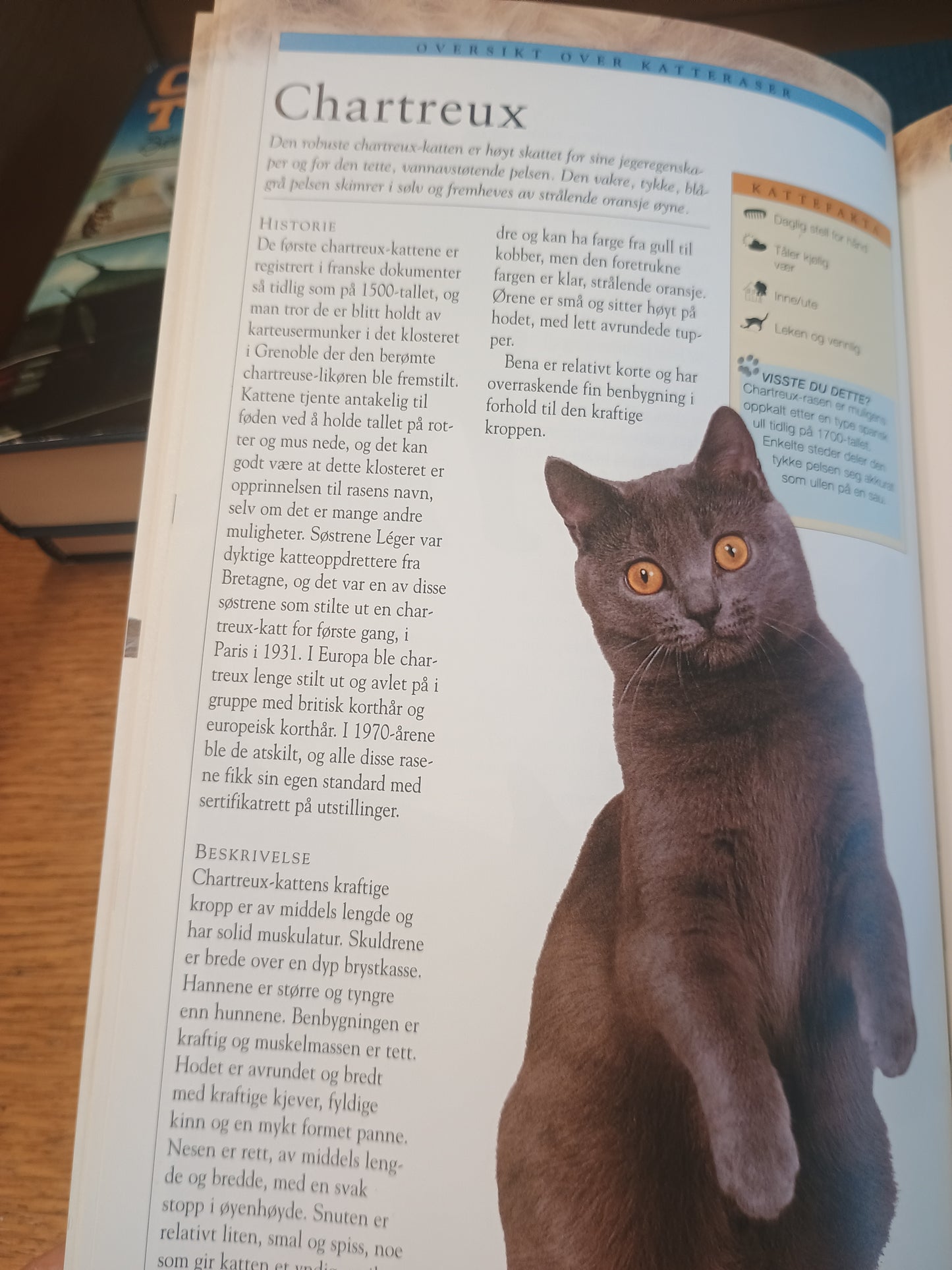 Katteeieren, Susie Page
