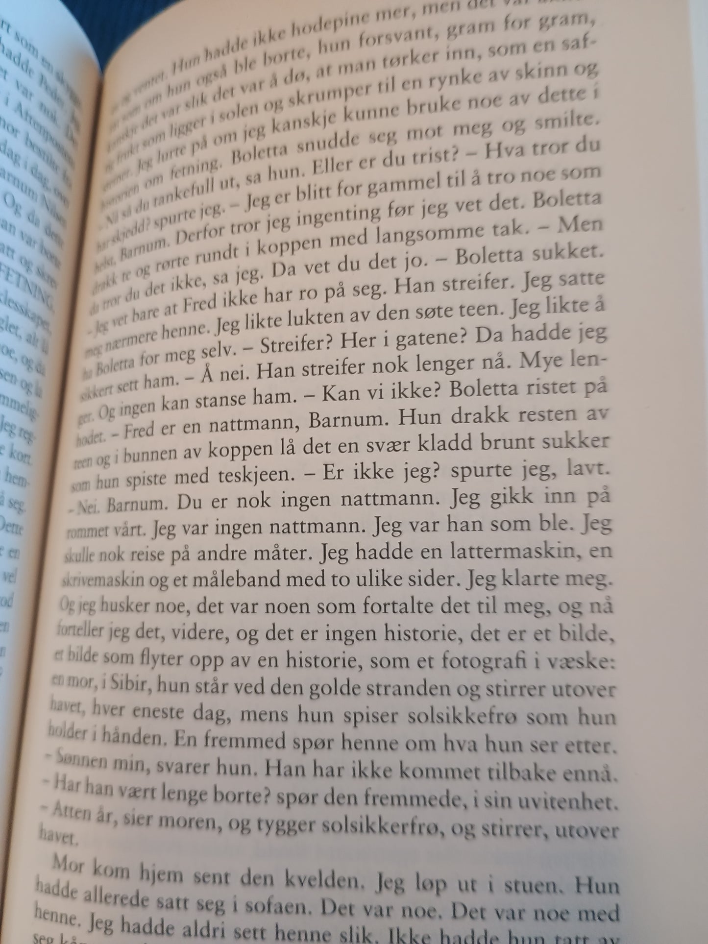 Halvbroren, Lars Saabye Christensen