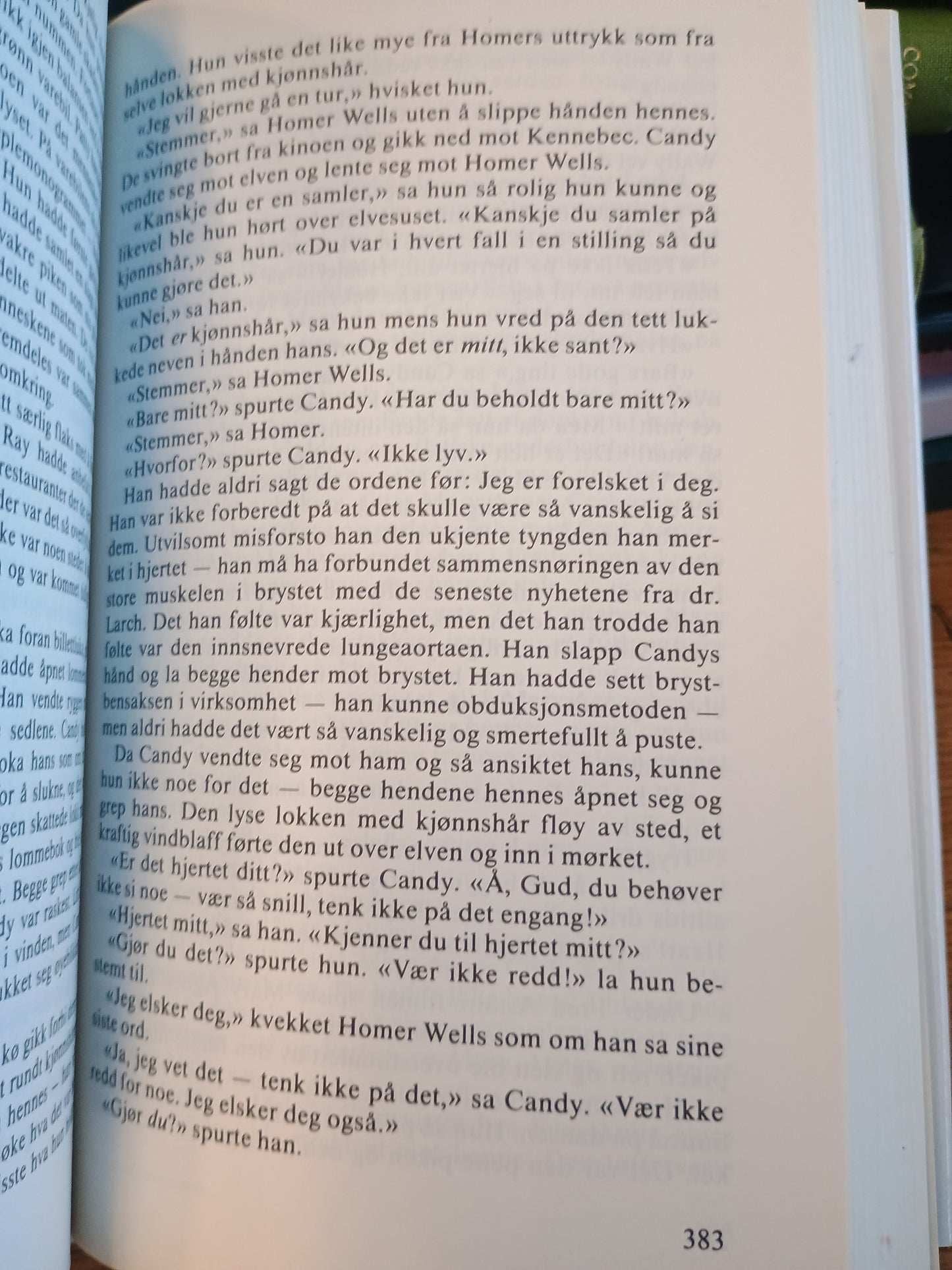 Siderhusreglene, John Irving