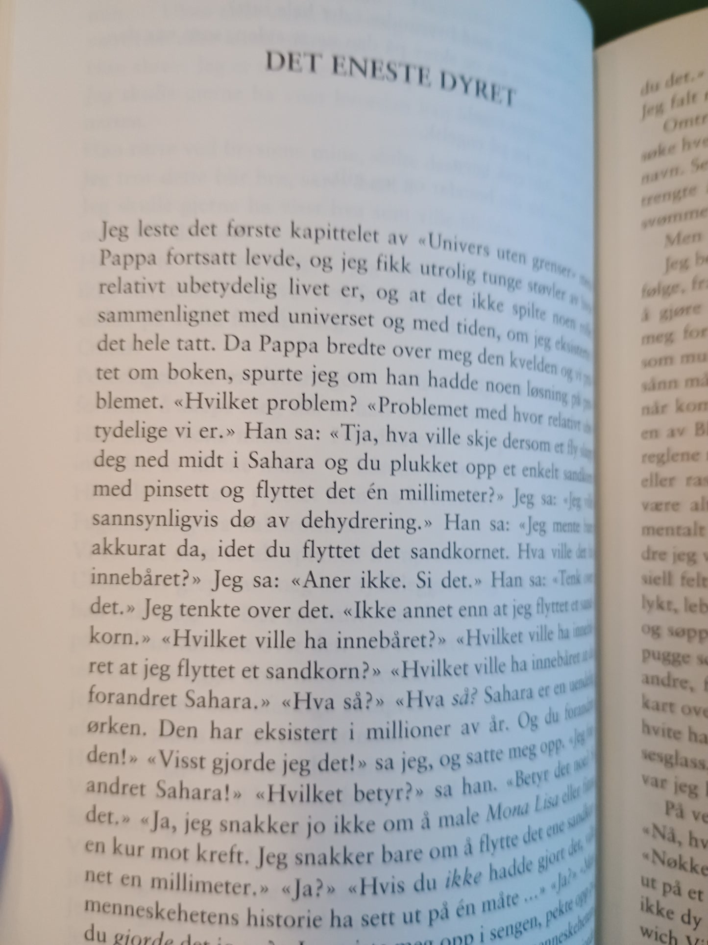 Ekstremt høyt & utrolig nært, Jonathan Safran Foer