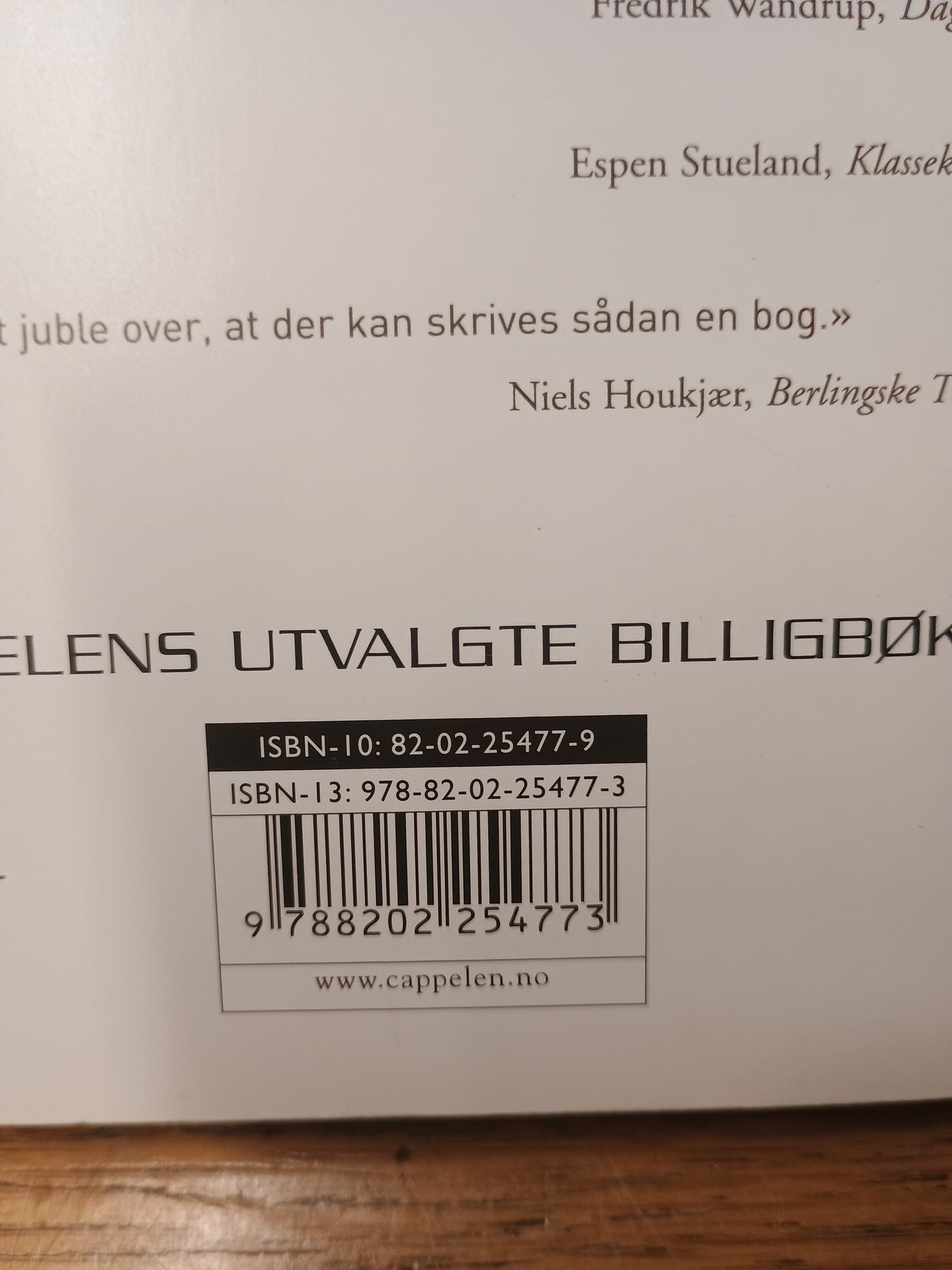 Utvidelse av kampsonen, Michel Houellebecq