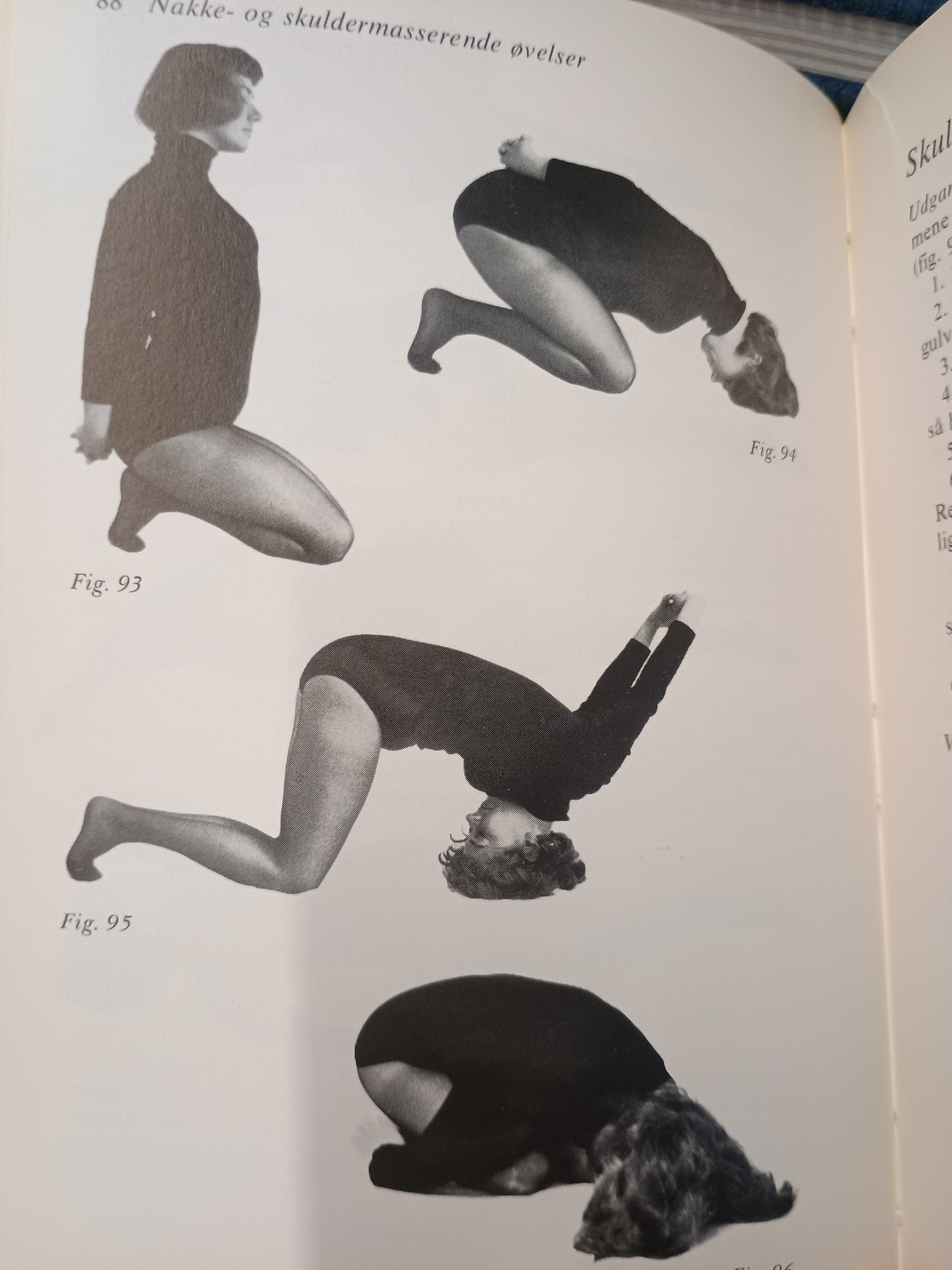 Yoga for begyndere, Vibeke Berg