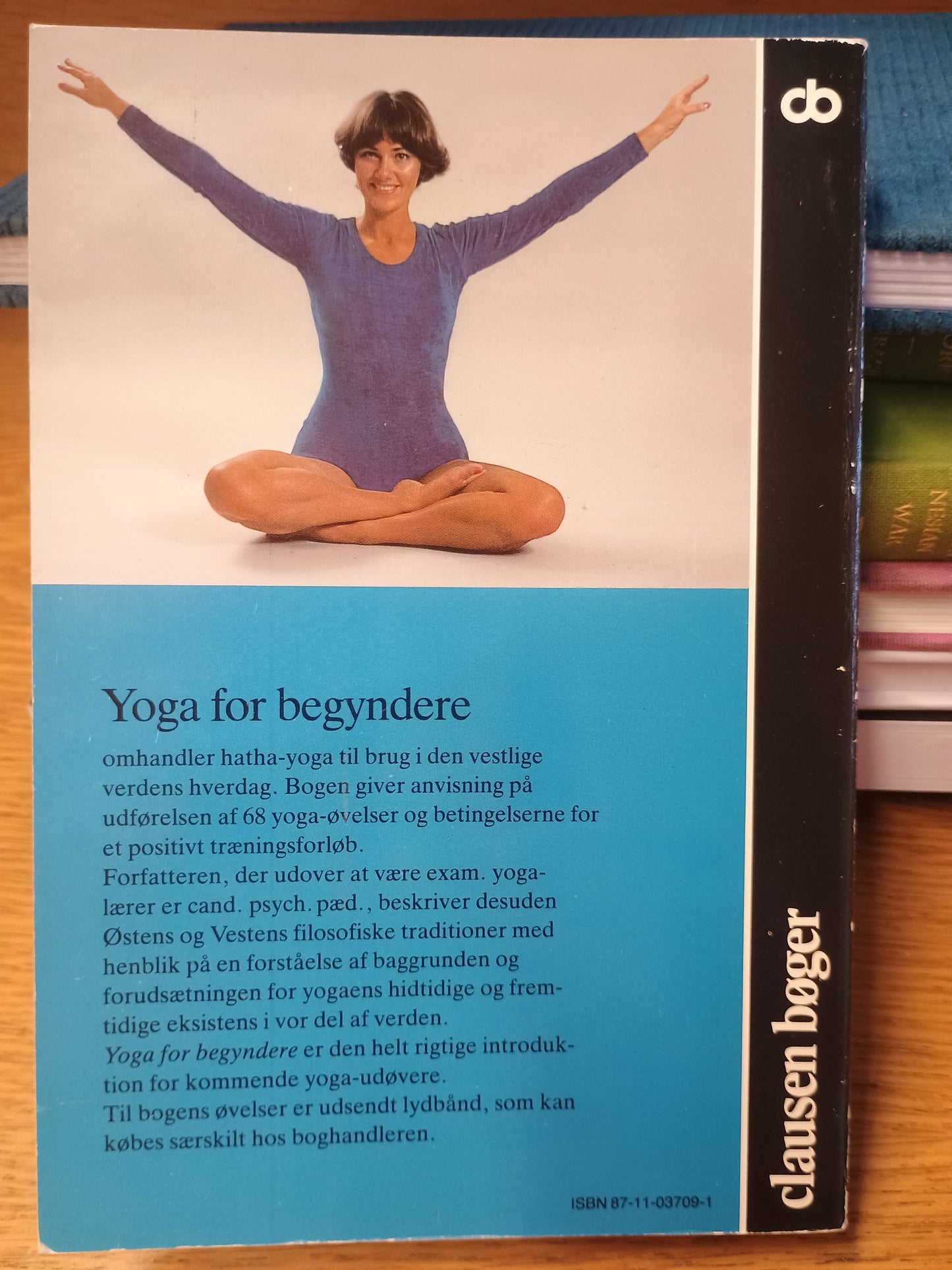 Yoga for begyndere, Vibeke Berg