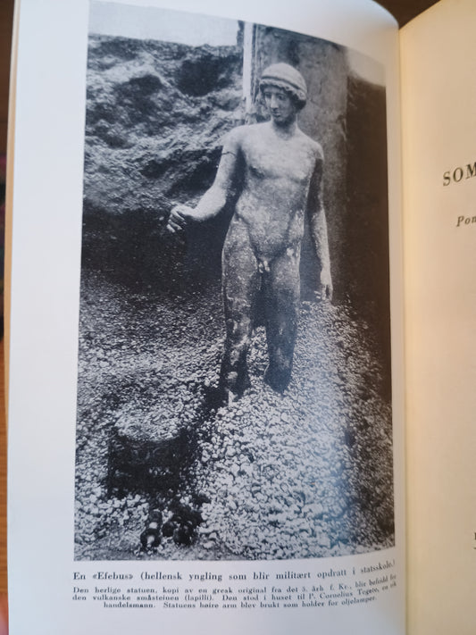 Byene som Vesuv begravde, Egon Cæsar Corti