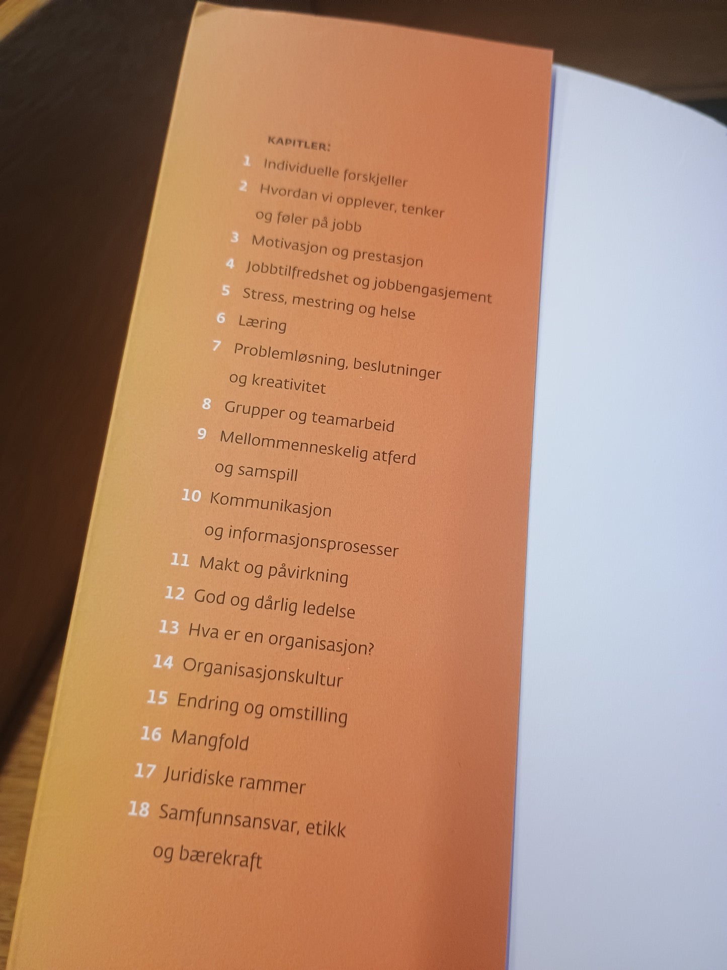 Organisasjon og ledelse, S. Einarsen, Ø. L. Martinsen, A. Skogstad