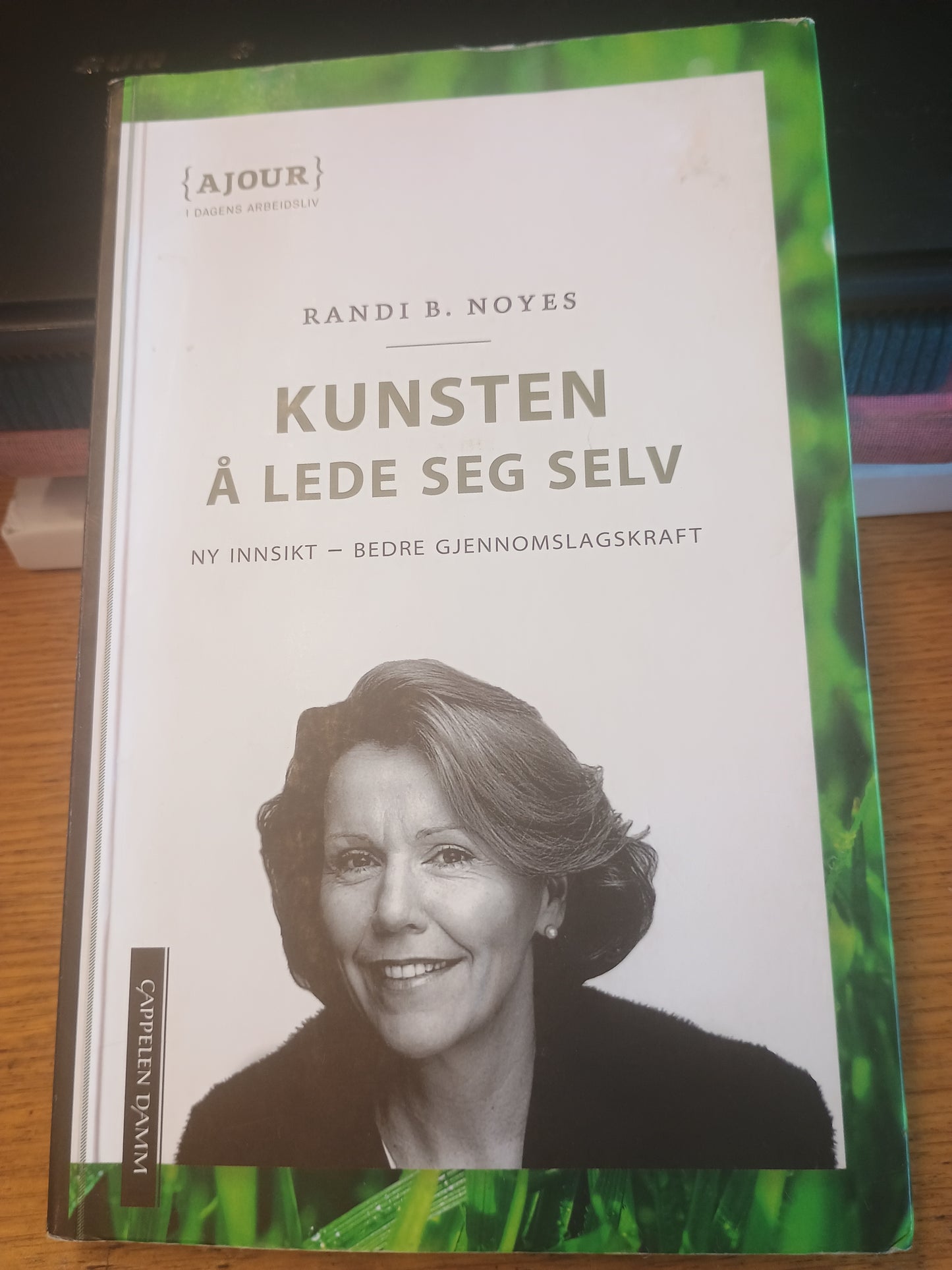 Kunsten å lede seg selv, Randi B. Noyes