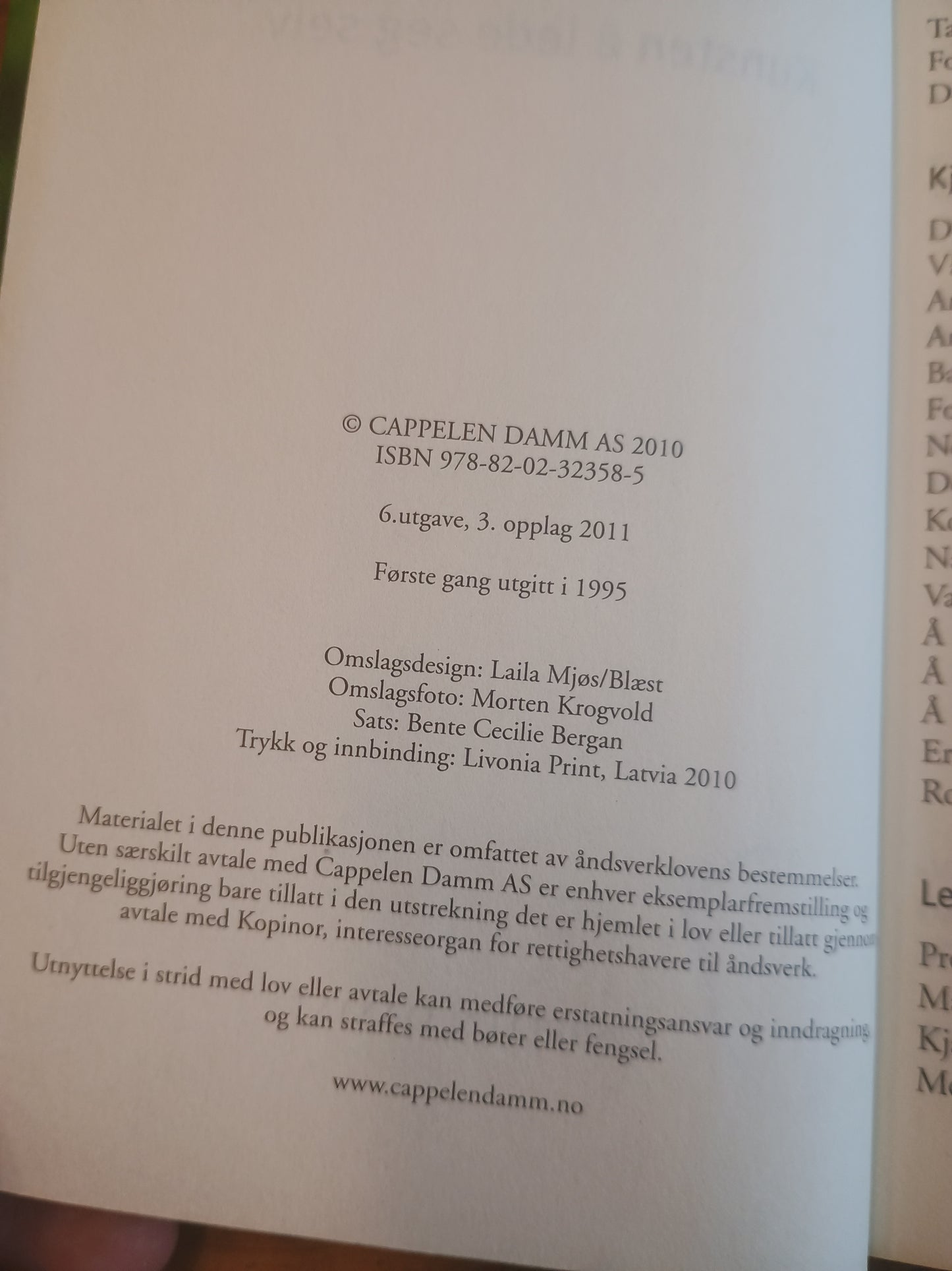 Kunsten å lede seg selv, Randi B. Noyes