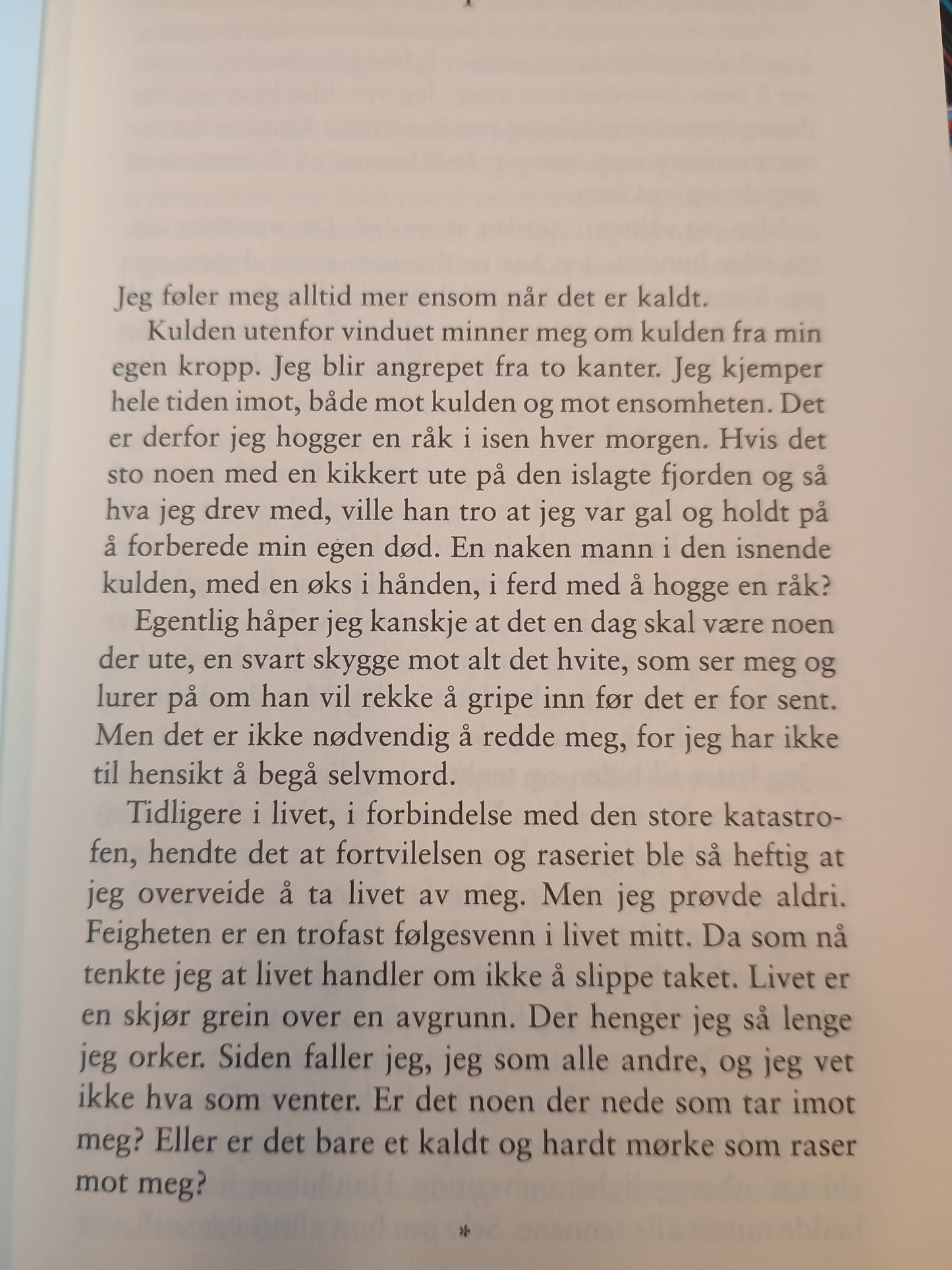 Italienske sko, Henning Mankell