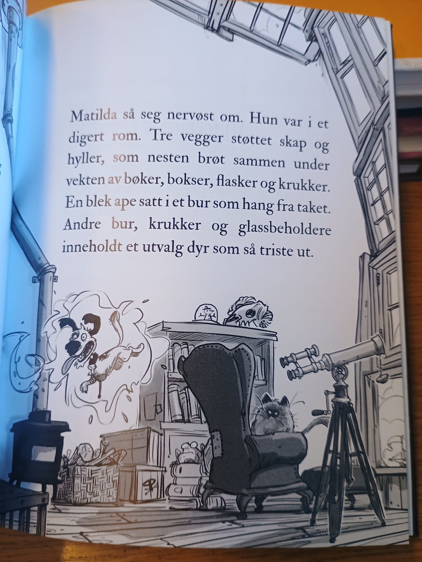 Piratene i gata og den forheksede grotten, Jonny Duddle