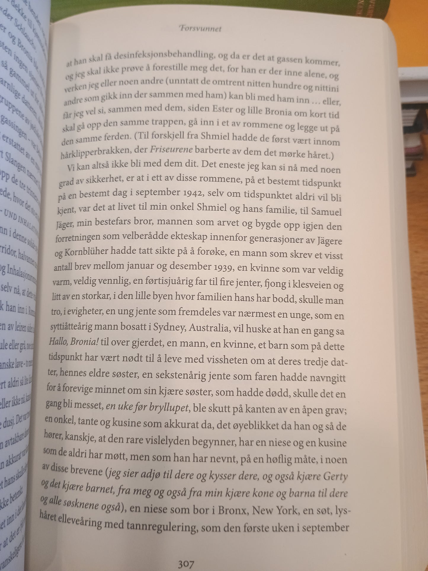 Forsvunnet, Daniel Mendelsohn