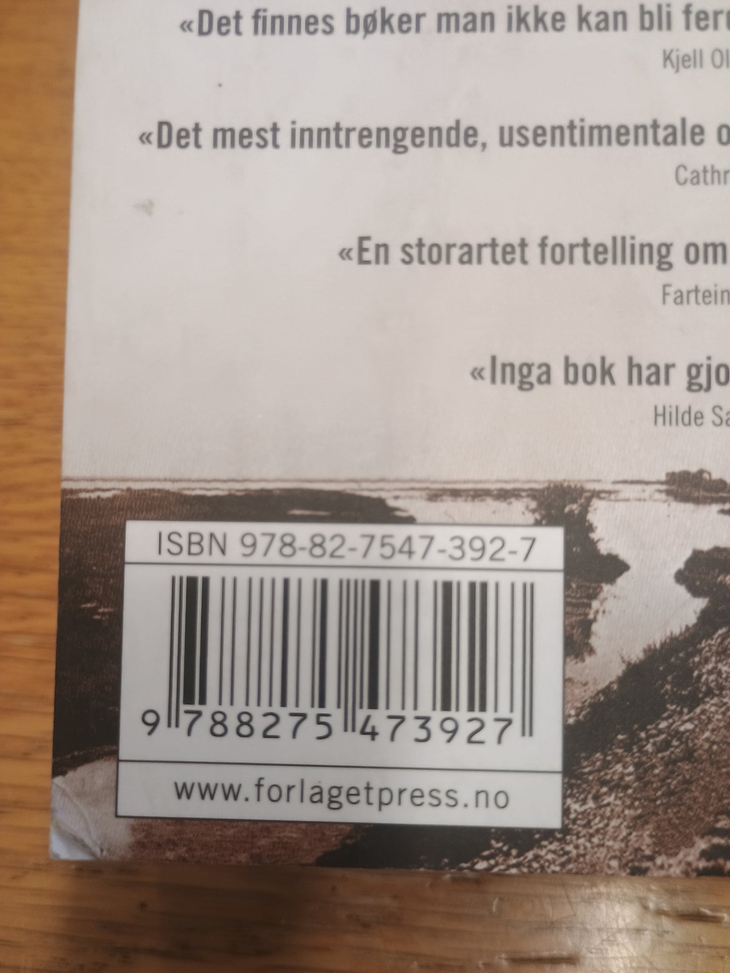 Forsvunnet, Daniel Mendelsohn