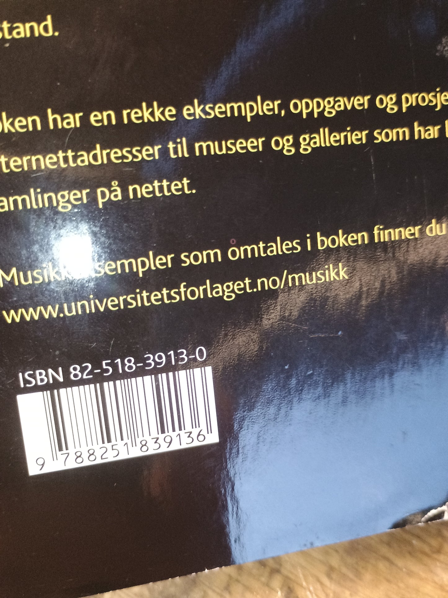 Litteratur, bilde og musikk, K. M. Ganer og Anne-Kati Skardhamar