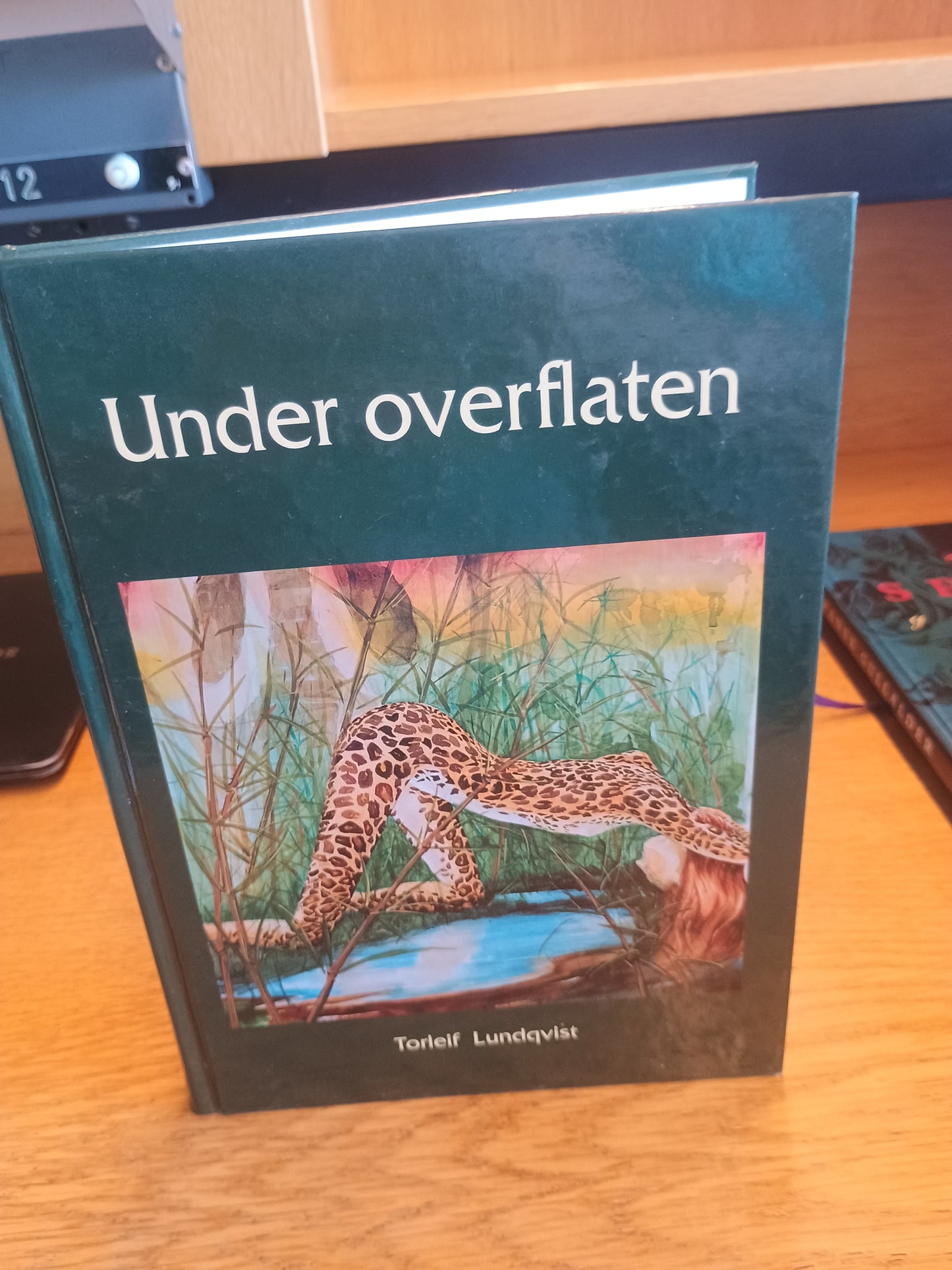 Under overflaten, Torleif Lundqvist