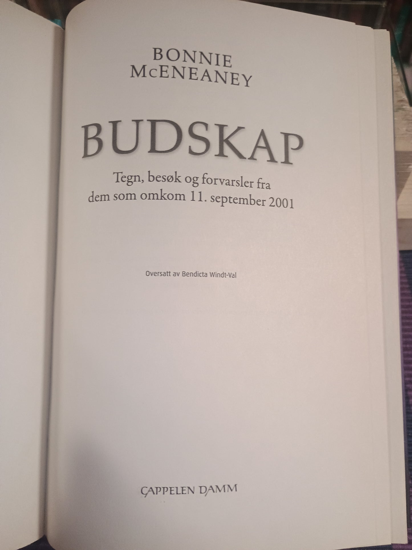 Budskap: Tegn, besøk og forvarsler fra dem som omkom 11. september 2011, Bonnie McEneaney