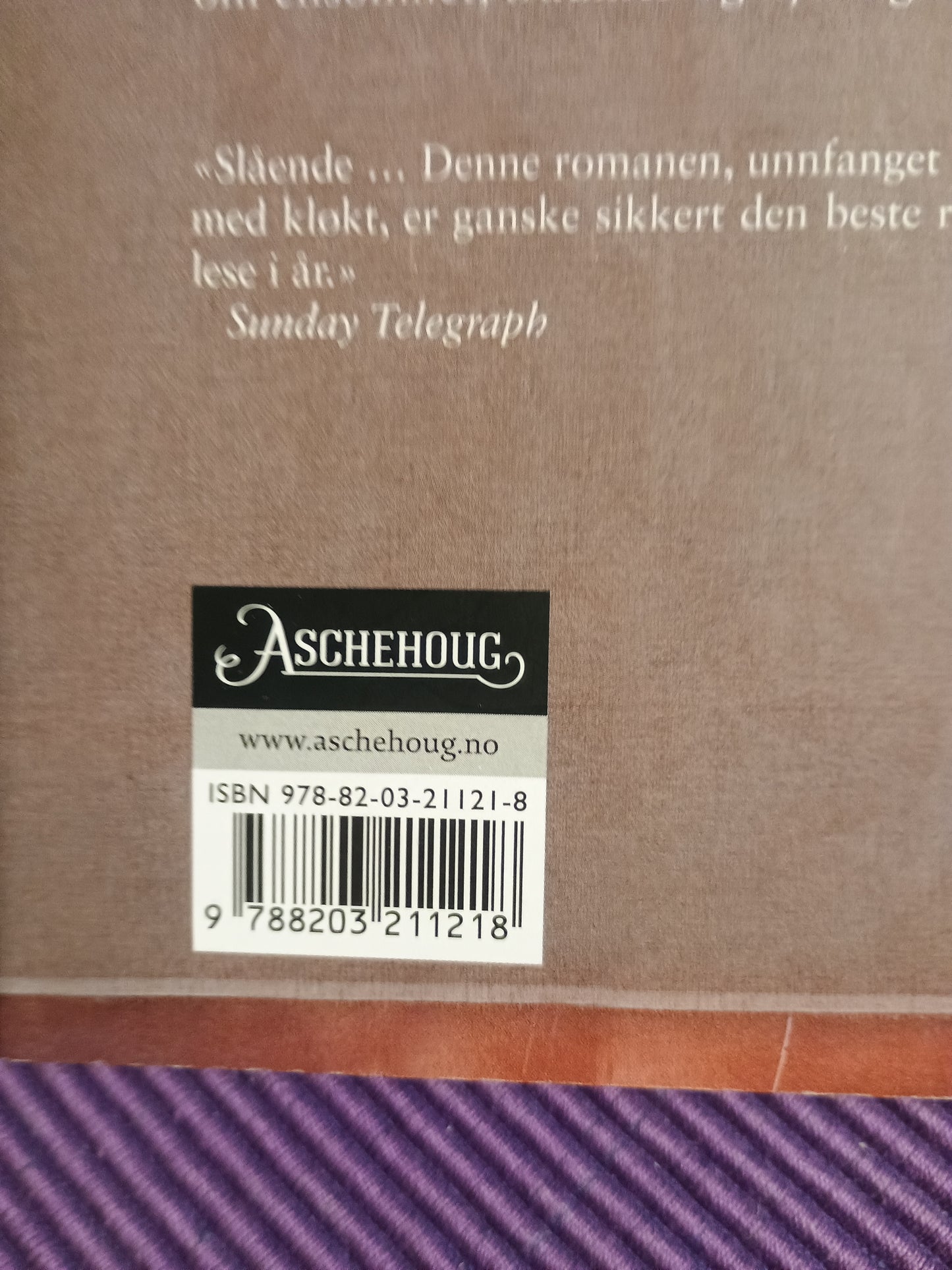Når du ser meg, Siri Hustvedt