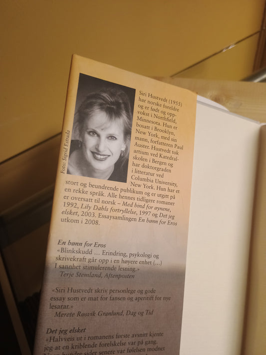 Når du ser meg, Siri Hustvedt