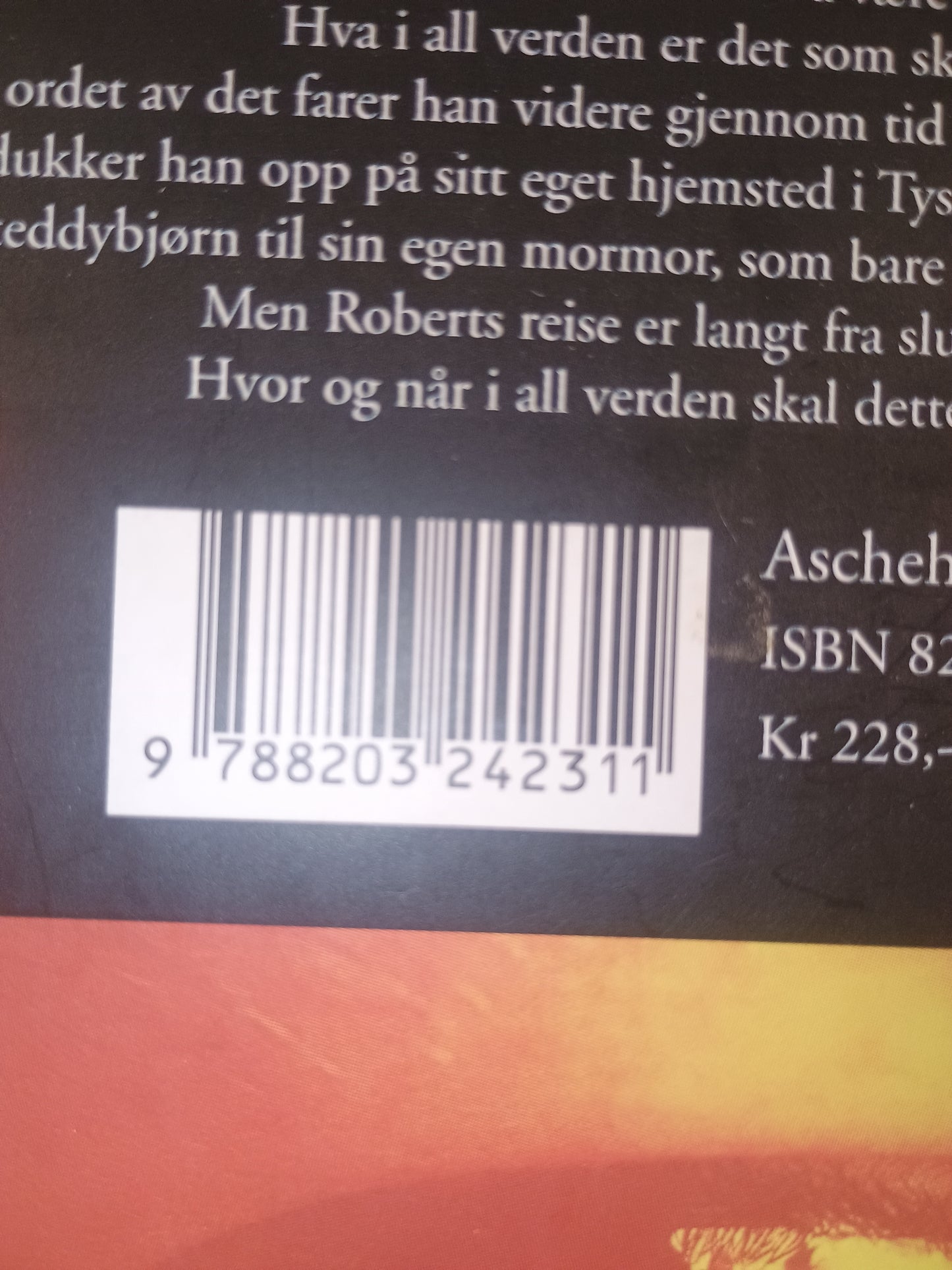 Hvor har du vært, Robert?, Hans Magnus Enzensberger