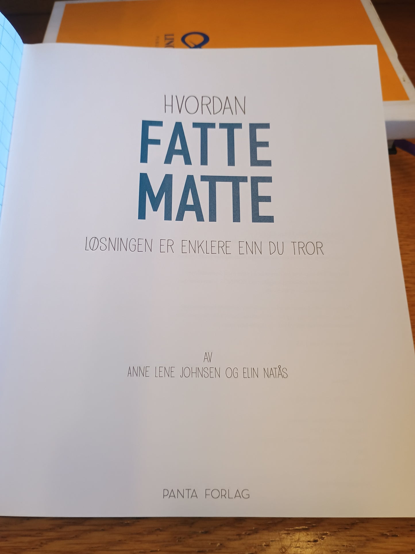 Hvordan fatte matte, Anne Lene Johnsen og Elin Natås