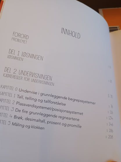 Hvordan fatte matte, Anne Lene Johnsen og Elin Natås
