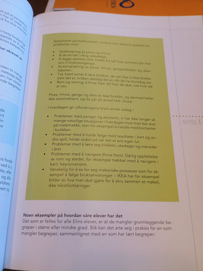 Hvordan fatte matte, Anne Lene Johnsen og Elin Natås