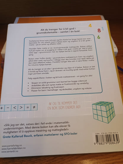 Hvordan fatte matte, Anne Lene Johnsen og Elin Natås