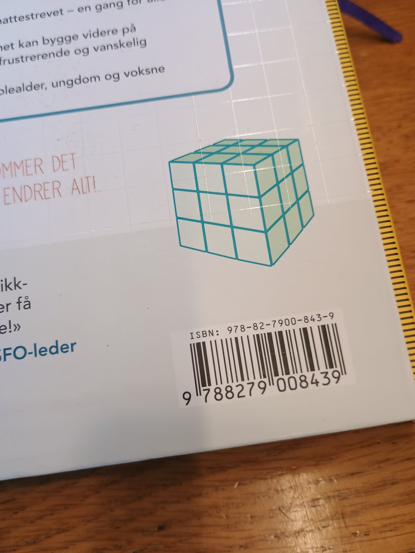 Hvordan fatte matte, Anne Lene Johnsen og Elin Natås