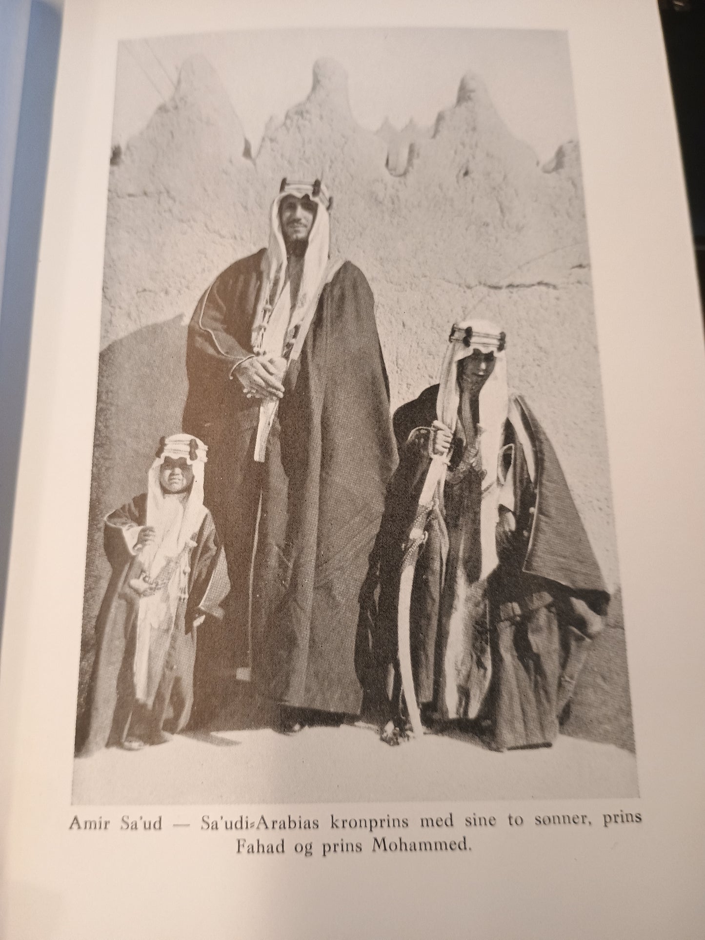 Det hemmelighetsfulle Arabia, Georg Wasmuth Sejersted