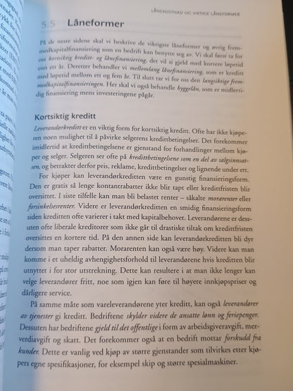 Finansielle emner, Knut Boye, Steen Koekebakker