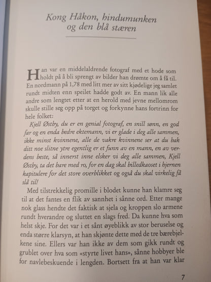 I stedet for dinosaurer, Tove Nilsen