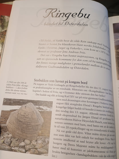 Langs sti og veg i Gudbrandsdalen, Gro Stangeland