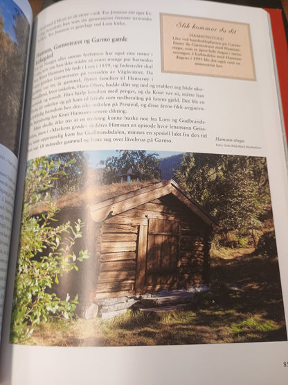 Langs sti og veg i Gudbrandsdalen, Gro Stangeland