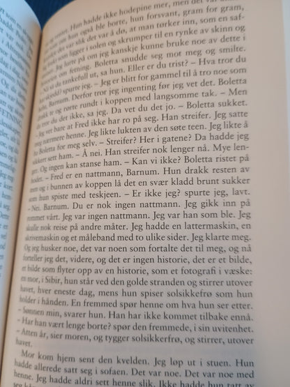 Halvbroren, Lars Saabye Christensen