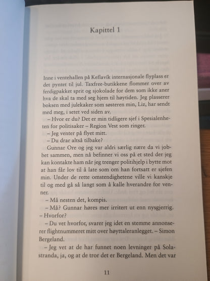 St. Avenger, Heine Bakkeid