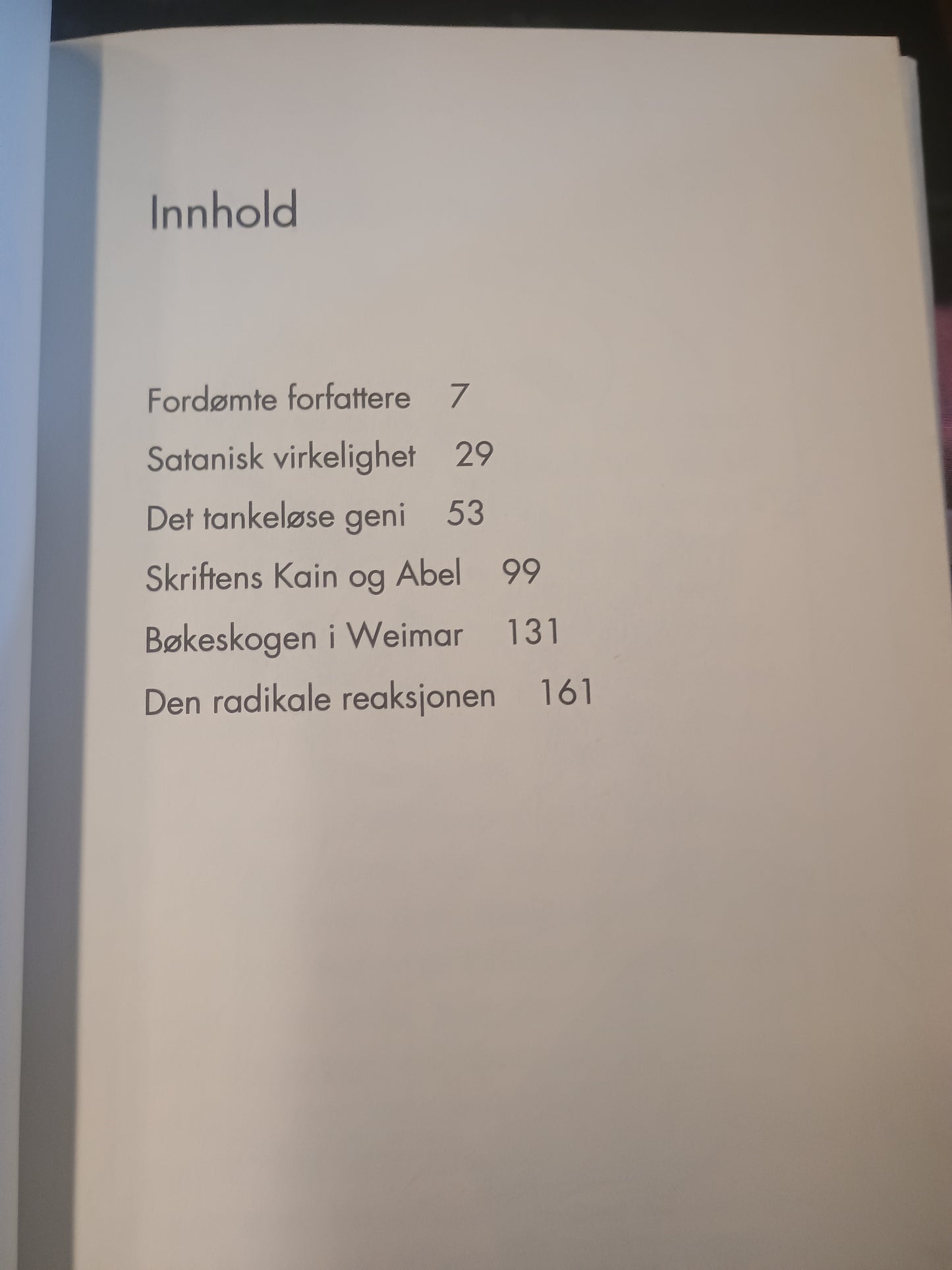 Fordømte forfattere - og andre essays, Steinar Hansson