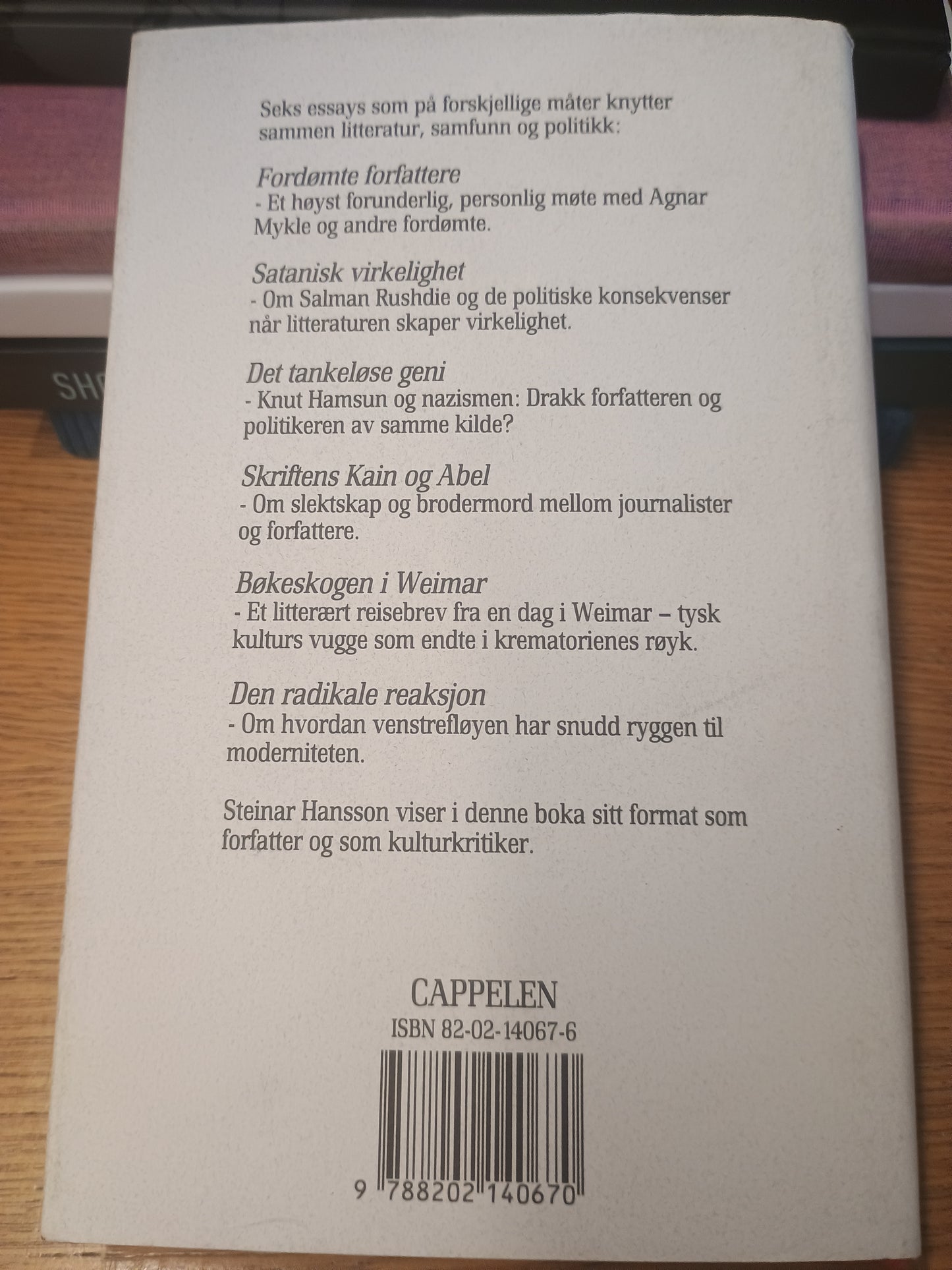 Fordømte forfattere - og andre essays, Steinar Hansson