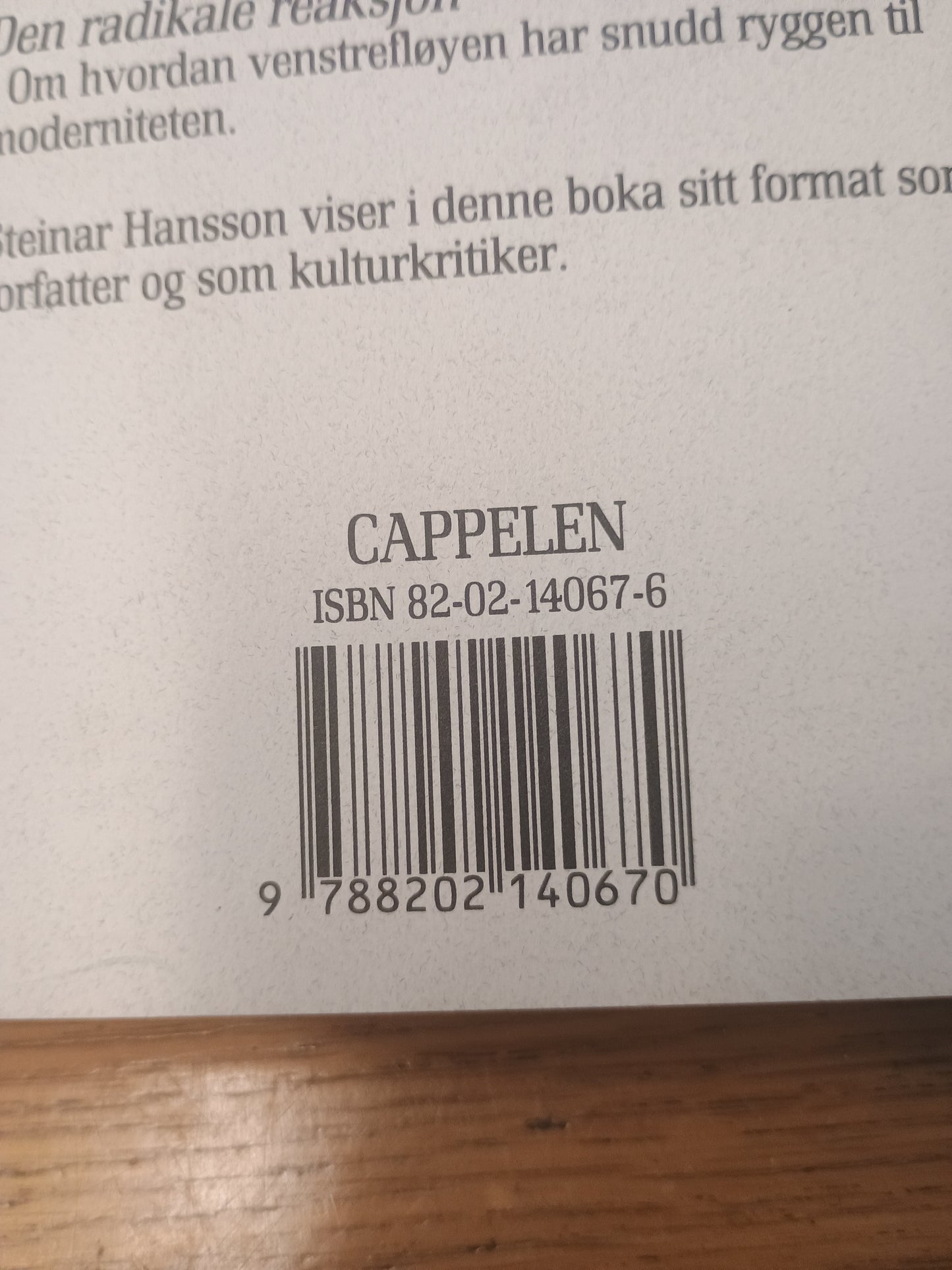 Fordømte forfattere - og andre essays, Steinar Hansson