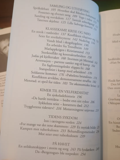 Historien om Norge, bok nr. 4, En ny arbeidsdag, Karsten Alnæs