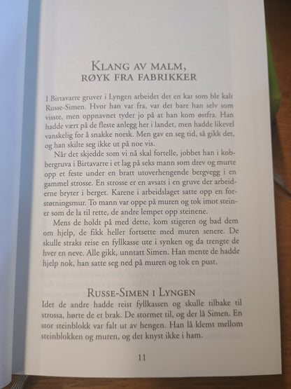 Historien om Norge, bok nr. 4, En ny arbeidsdag, Karsten Alnæs
