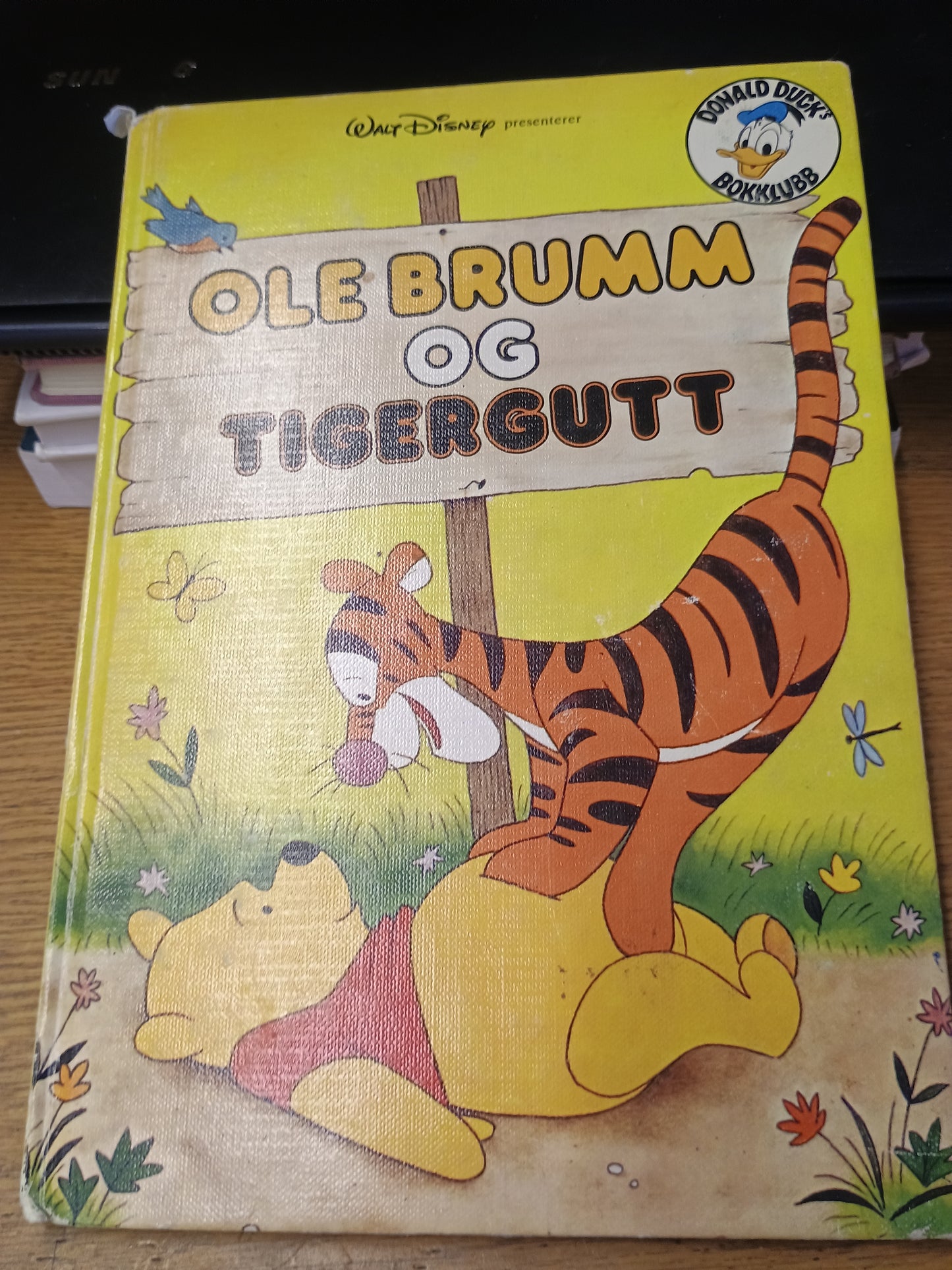 Ole Brumm og Tigergutt, Walt Disney